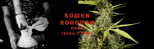spice Верея