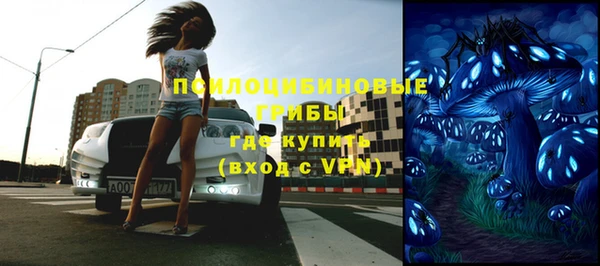 PSILOCYBIN Бронницы