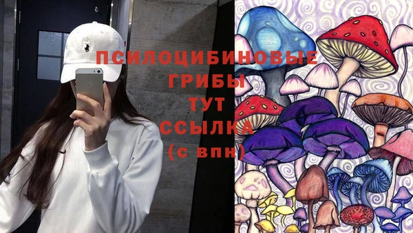 прущая мука Нея