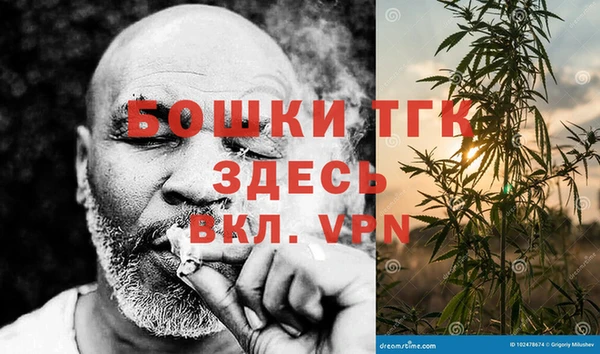 spice Верея