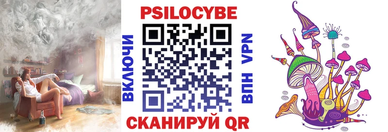МЕГА ССЫЛКА  купить наркотик  Гурьевск  Галлюциногенные грибы GOLDEN TEACHER 