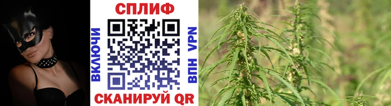 Канабис индика купить наркоту Гурьевск